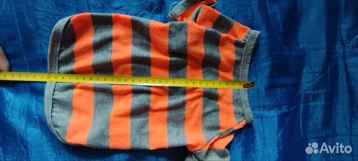 Одежда для собак мелких пород