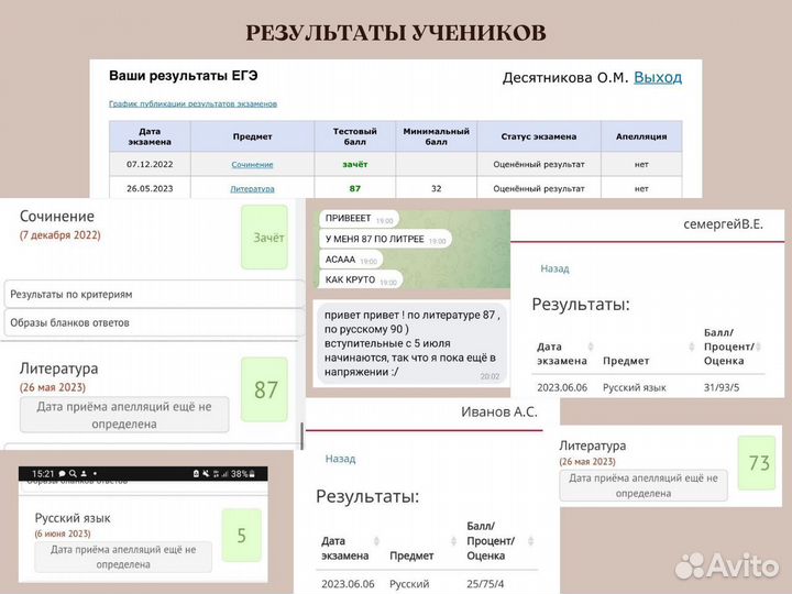 Репетитор по литературе и русскому (егэ, огэ)