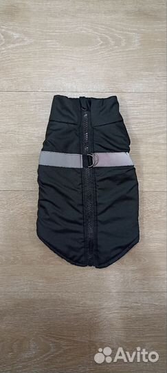 Одежда для средних собак