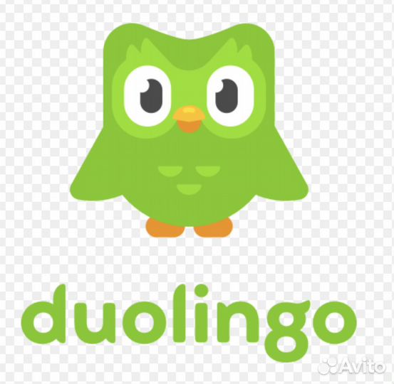 Duolingo подписка