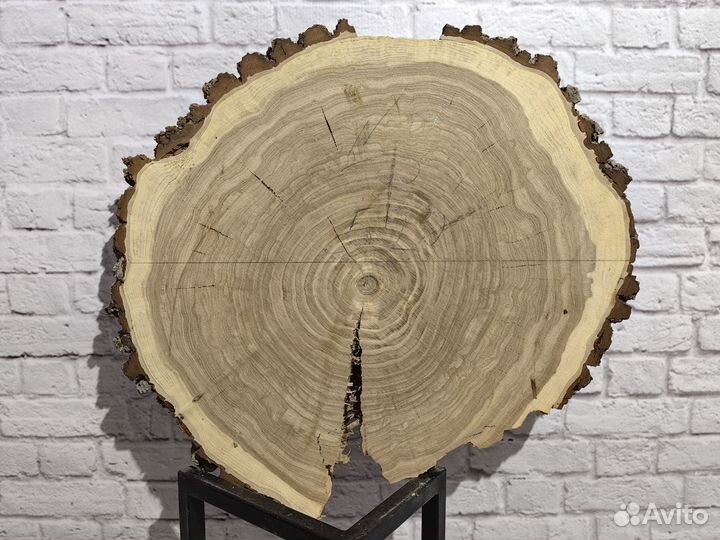 Спил карагач