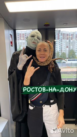 Гарри Поттер Детское шоу с аниматорами в поезде