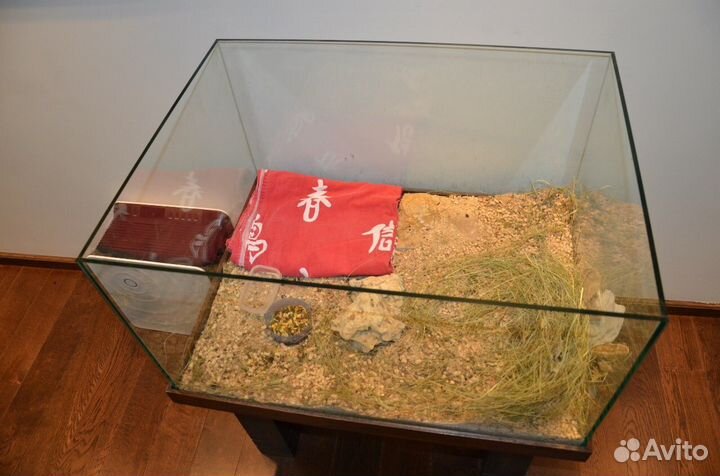 Аквариум - дендрариум