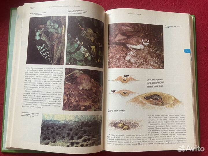 Энциклопедия юного биолога