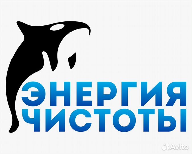 Готовая клининговая компания