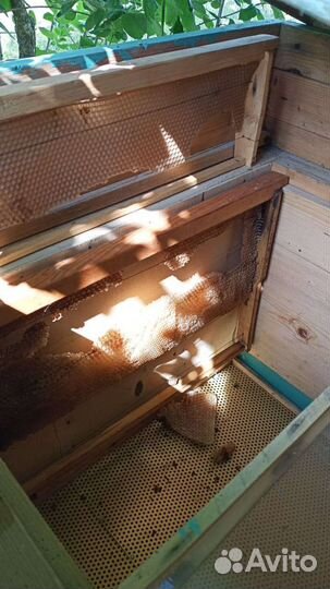 Улей для пчел