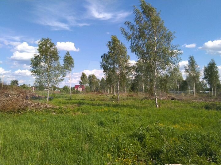 Участок 64 сот. (ИЖС)