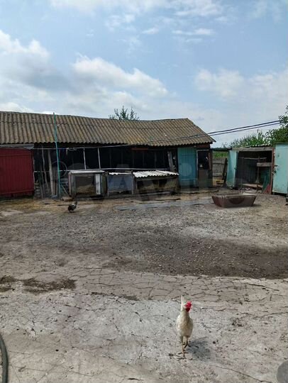 Дом 80 м² на участке 40 сот.