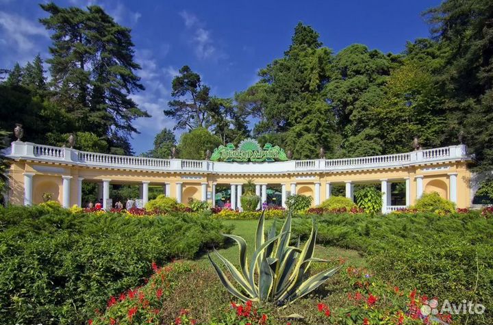 Тур поездка Сочи шесть ночей