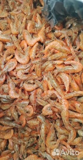 Азовская креветка. Свежий вылов