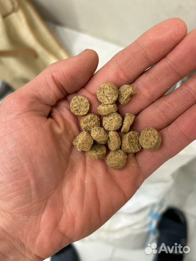 Корм для собак 10 кг