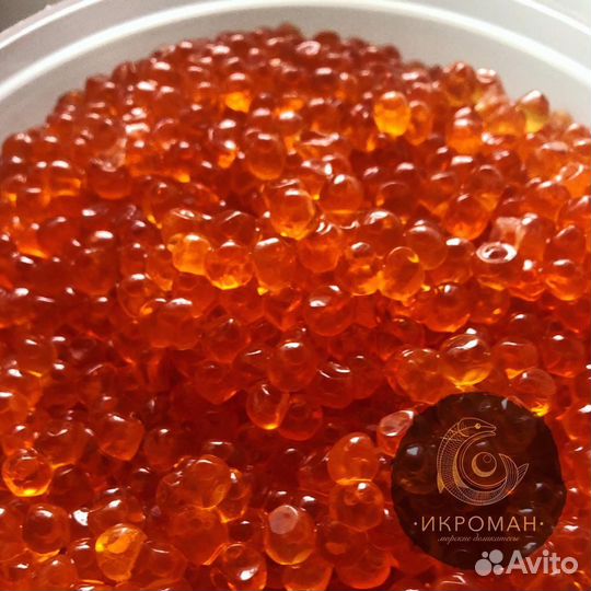 Красная икра нерки и кеты Август 2023г