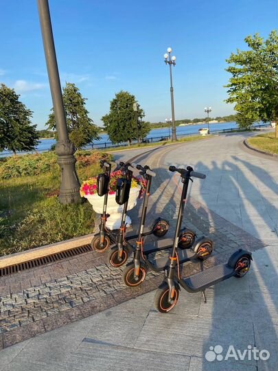 Аренда электросамоката