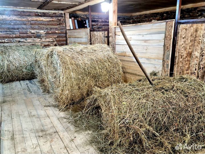 Постой для лошадей