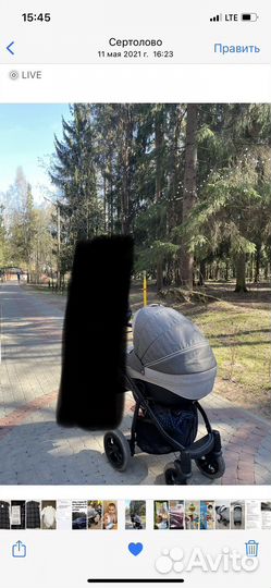 Коляска adamex 3 в 1