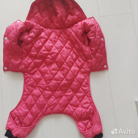 Одежда для маленьких собак