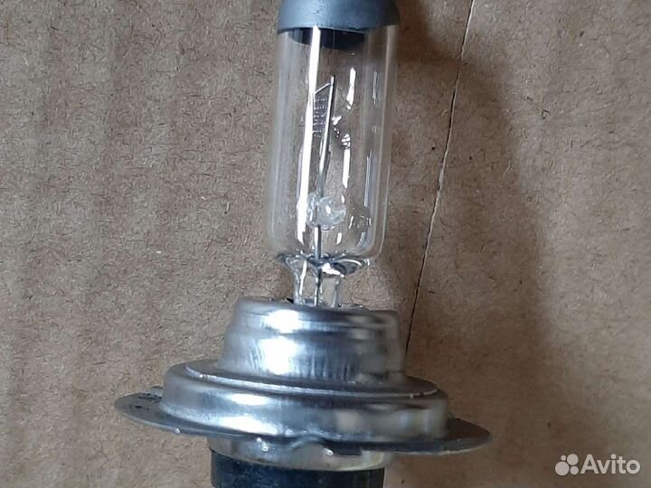 Автолампа оптом