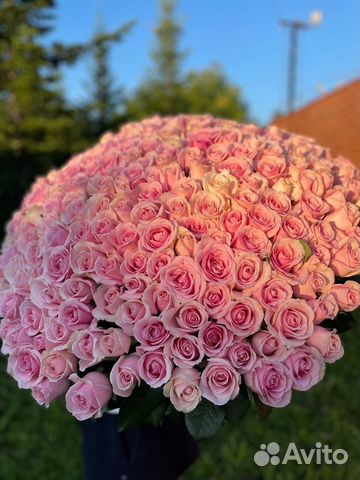 Розы голландские с доставкой 301 шт