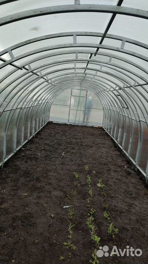 Теплицы усиленные оцинкованные