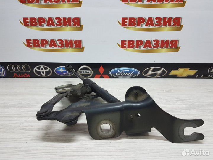 Петля капота передняя левая Bmw X3 F25 N52B30A