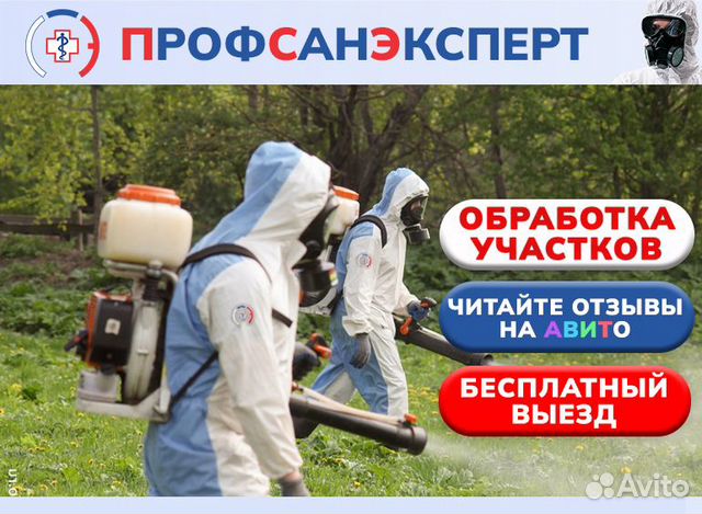 Холодный туман
