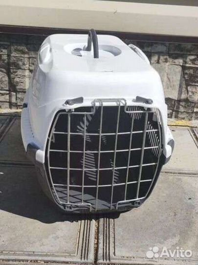 Переноска для животных аренда