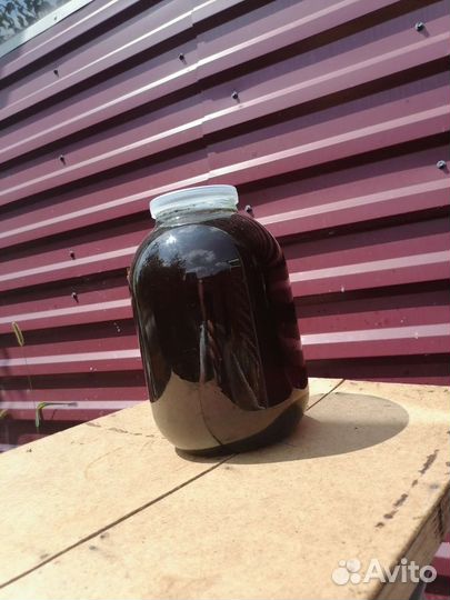 Мёд гречишный 2023