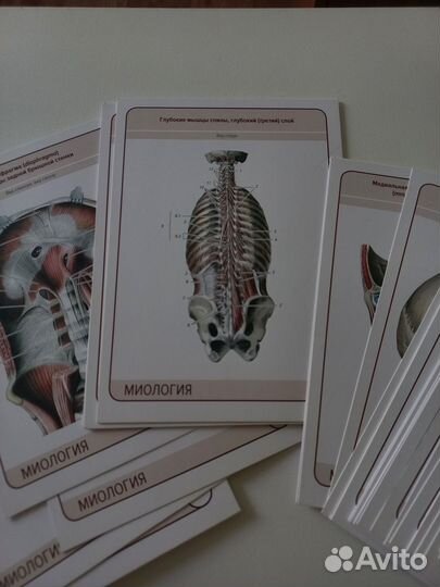 Карточки по миологии
