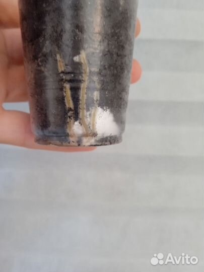 Филодендрон, сингониум