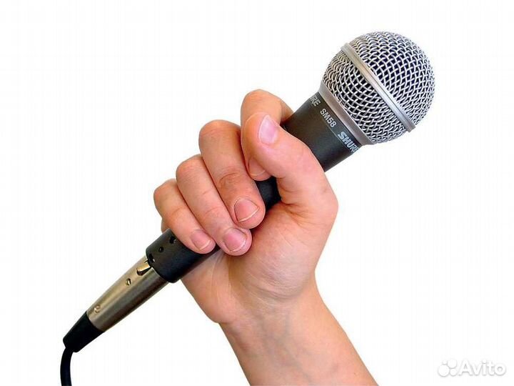 Ведущий тамада