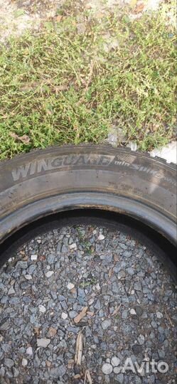 Nexen Winguard 175/65 R14 T