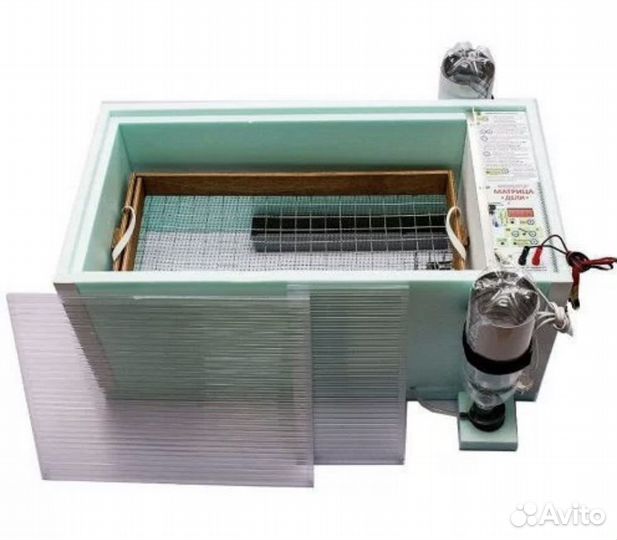 Инкубатор матрица Дели