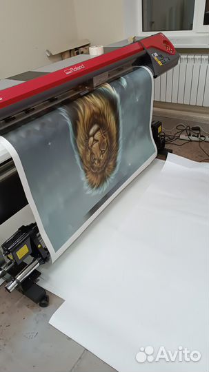 Типография