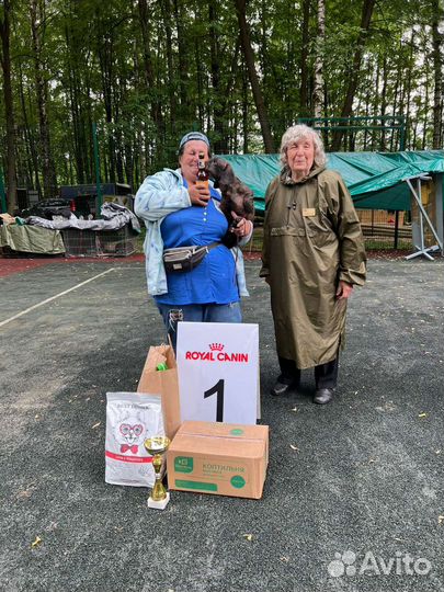 3х месячные детишки