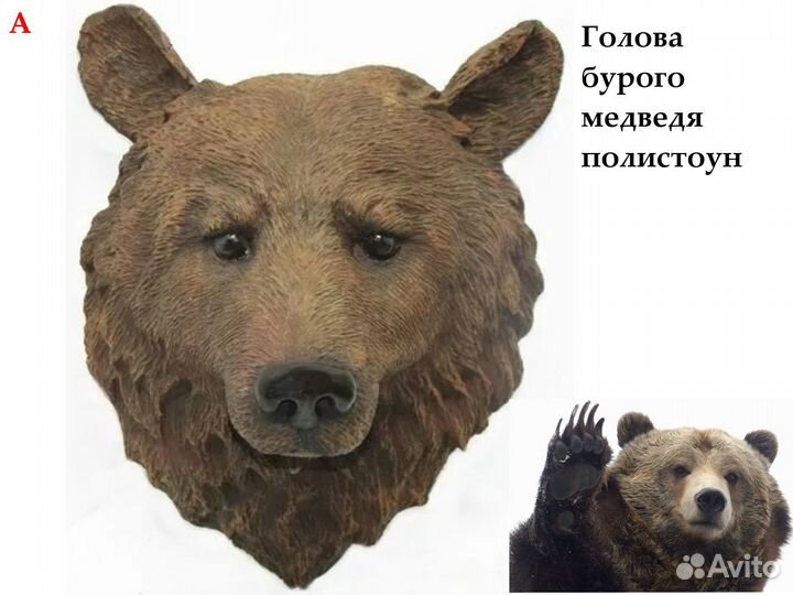 Голова медведя/Скульптура/Трофей охотника