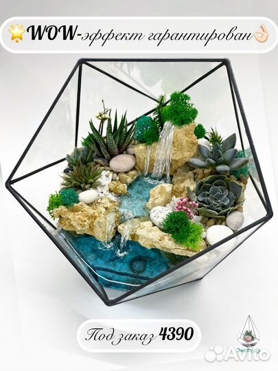 Цветы Флорариум Подарок Суккуленты Декор