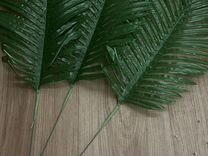 Искусивенные листья пальмы