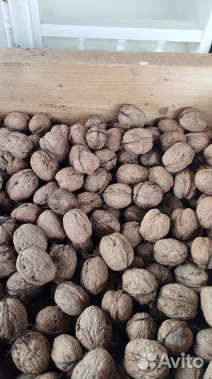 Продам грецкий орех в скорлупе