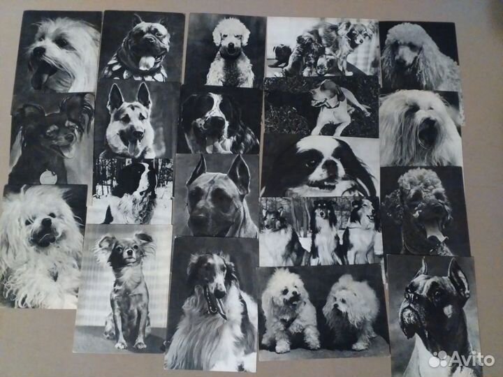 Открытки СССР