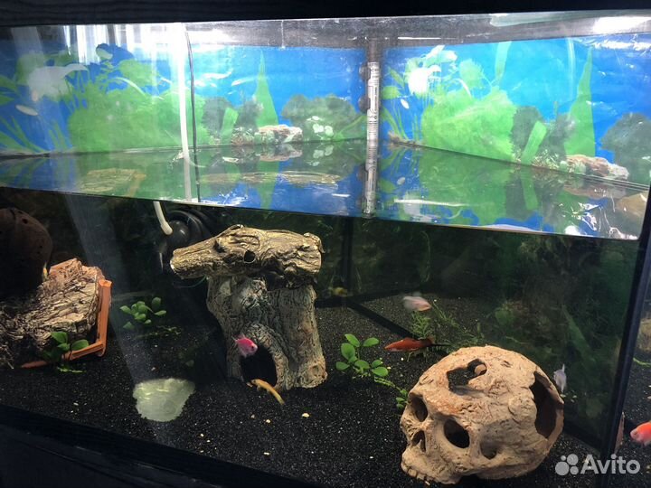 Аквариум