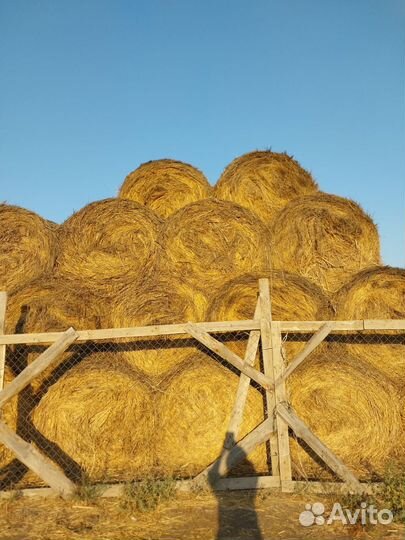 Продаем сено