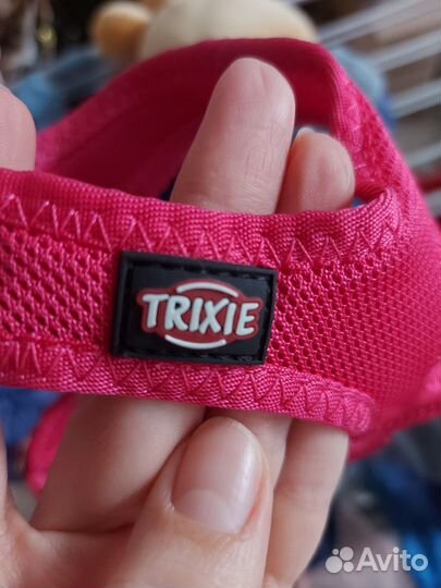 Одежда для собак