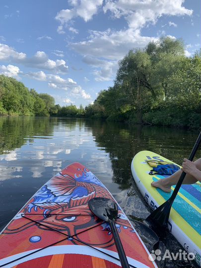 Sup board аренда