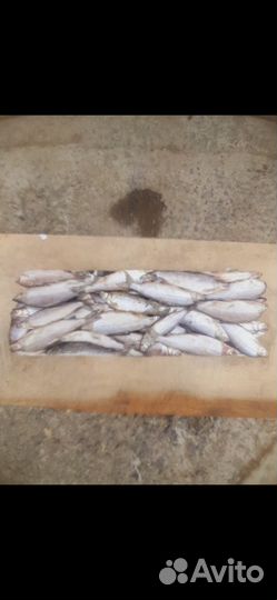 Сырок (пелядь) мороженый