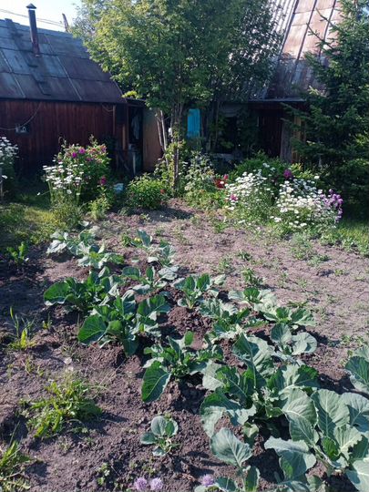 Дача 29 м² на участке 5 сот.