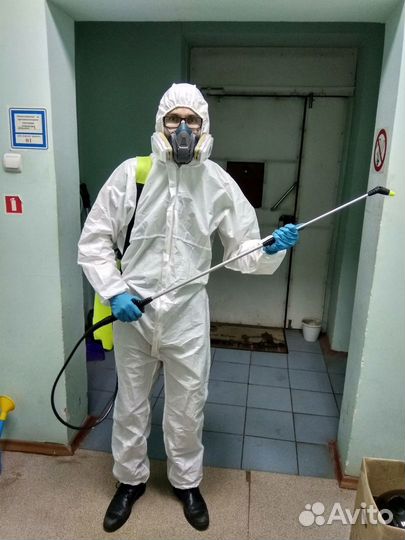 Услуги Дезинсектора Дезинсекция Дезинфекция