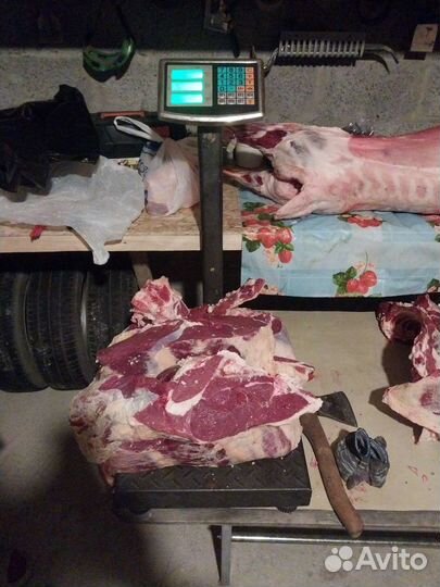 Мясо говядина баранина