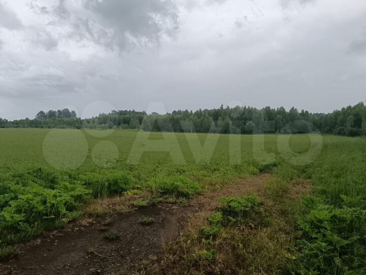Участок 12 га (ИЖС)