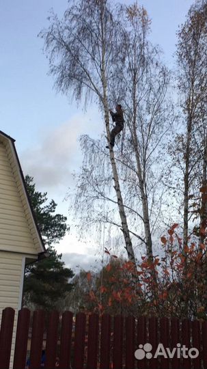 Благоустройство