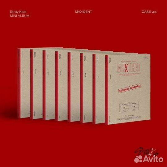 Stray Kids - maxident case ver